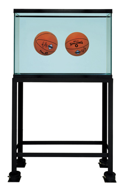 Two Ball Total Equilibrium Tank (Spalding Dr. J Silver Series), 1985